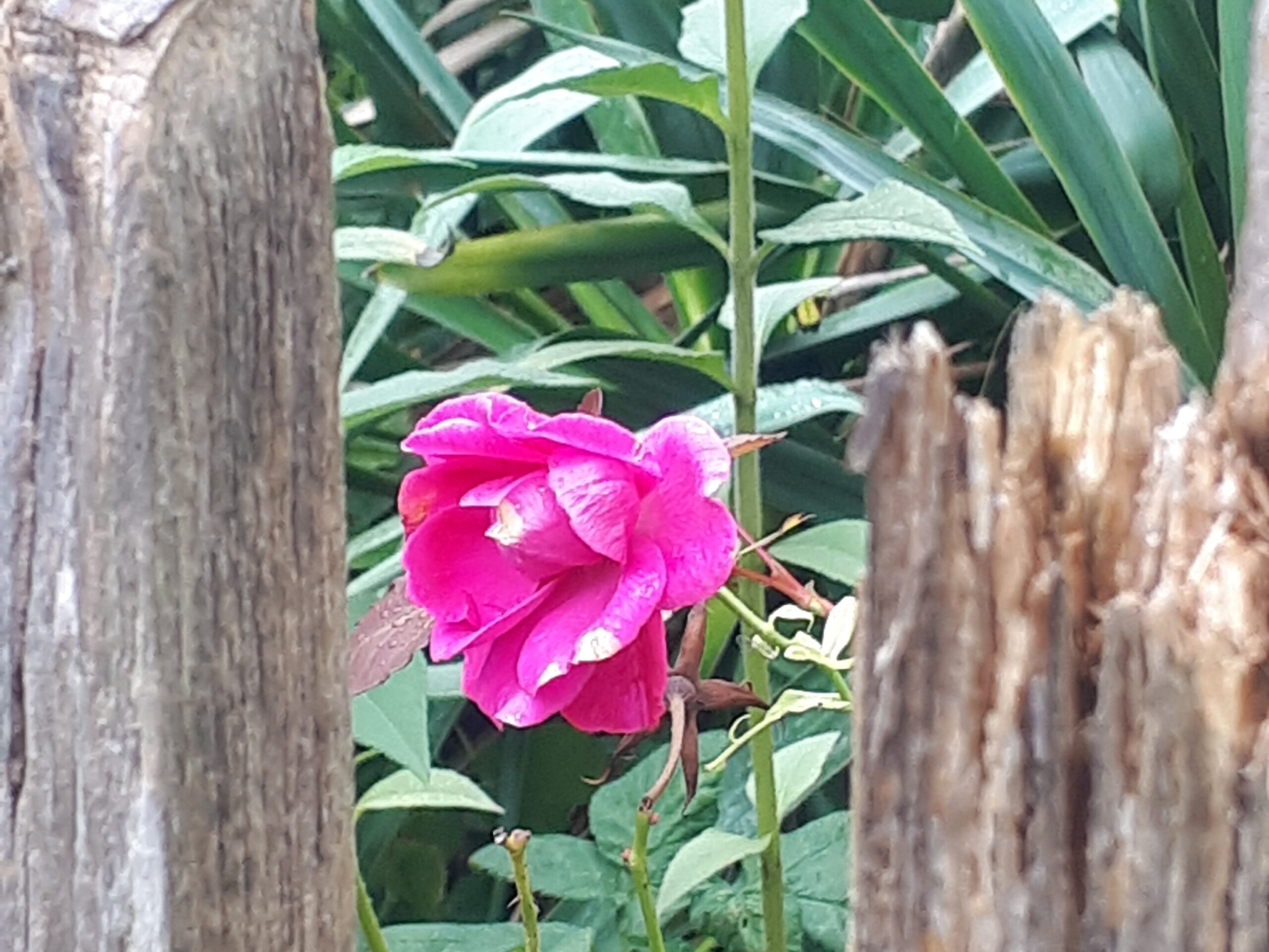 traumasensibel gestalten